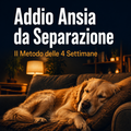 Addio Ansia da Separazione