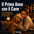 Il Primo Anno con il Cane